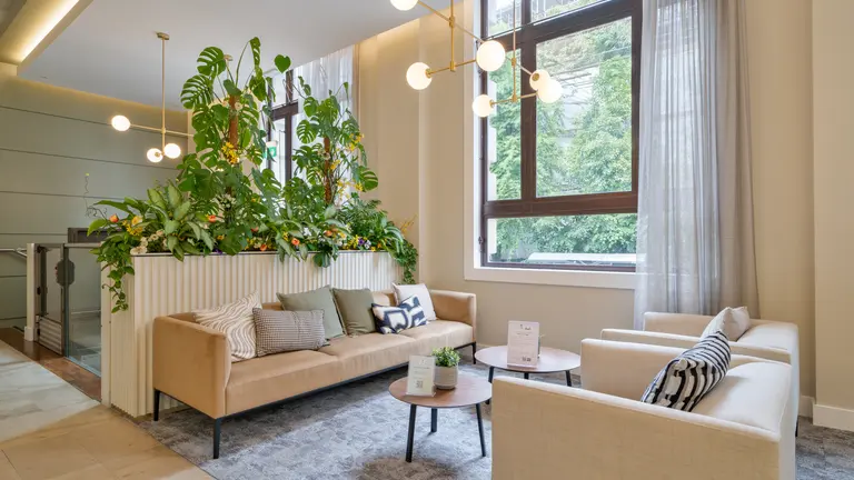 Sofas at Ship Canal House 