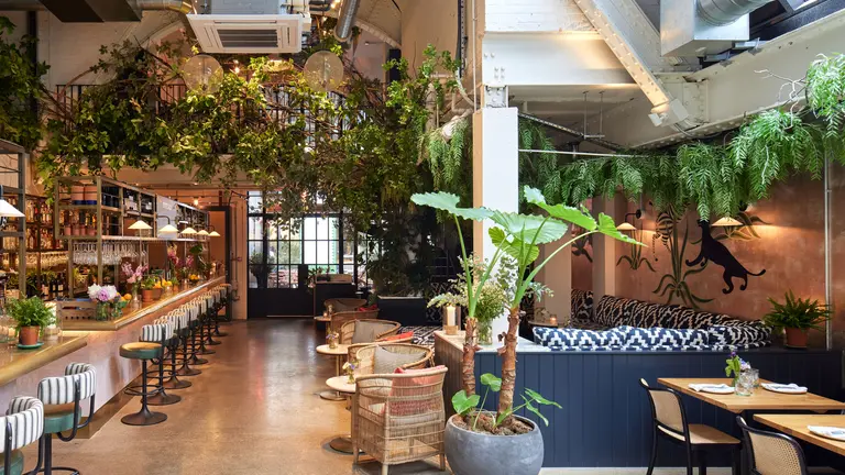 Wild by Tart interior