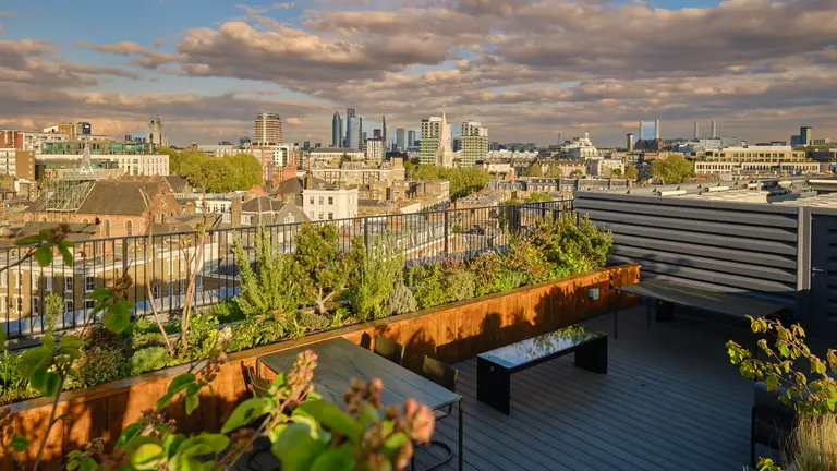 Roof garden 
