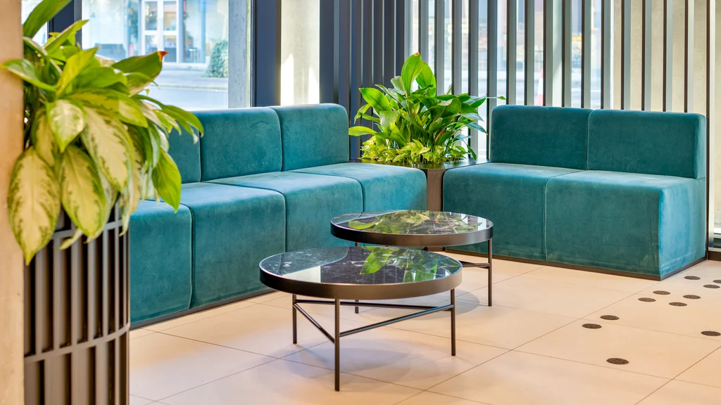 Green sofas at The Hive