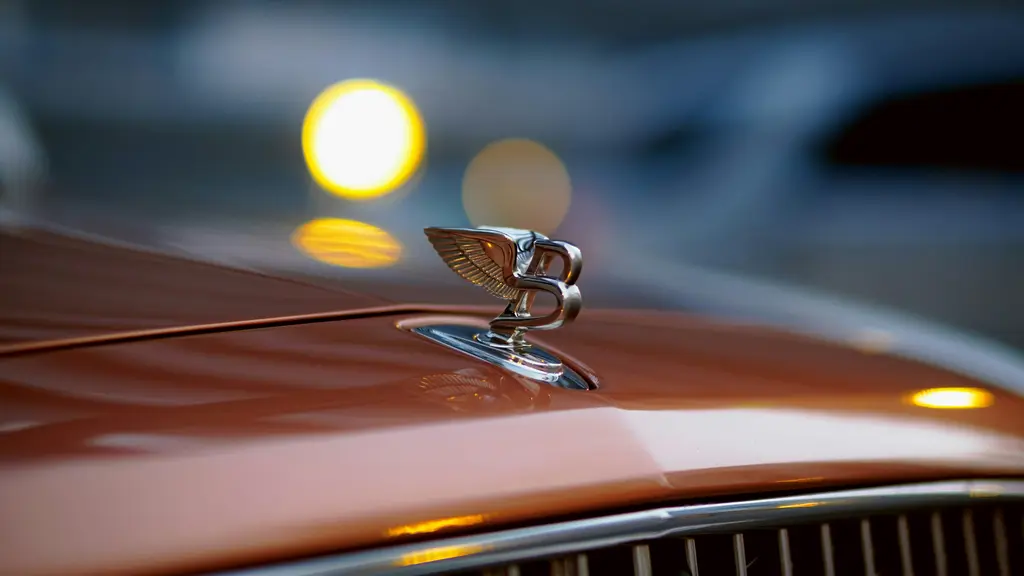 A car's bonnet