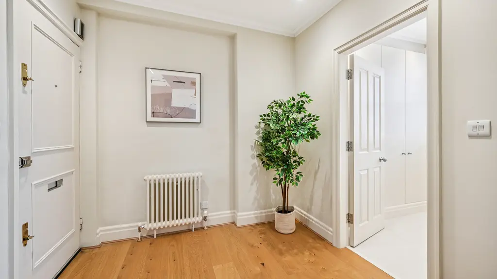 Hallway with a plant