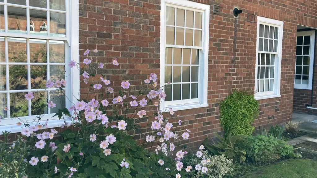 Exterior of building with flowers 